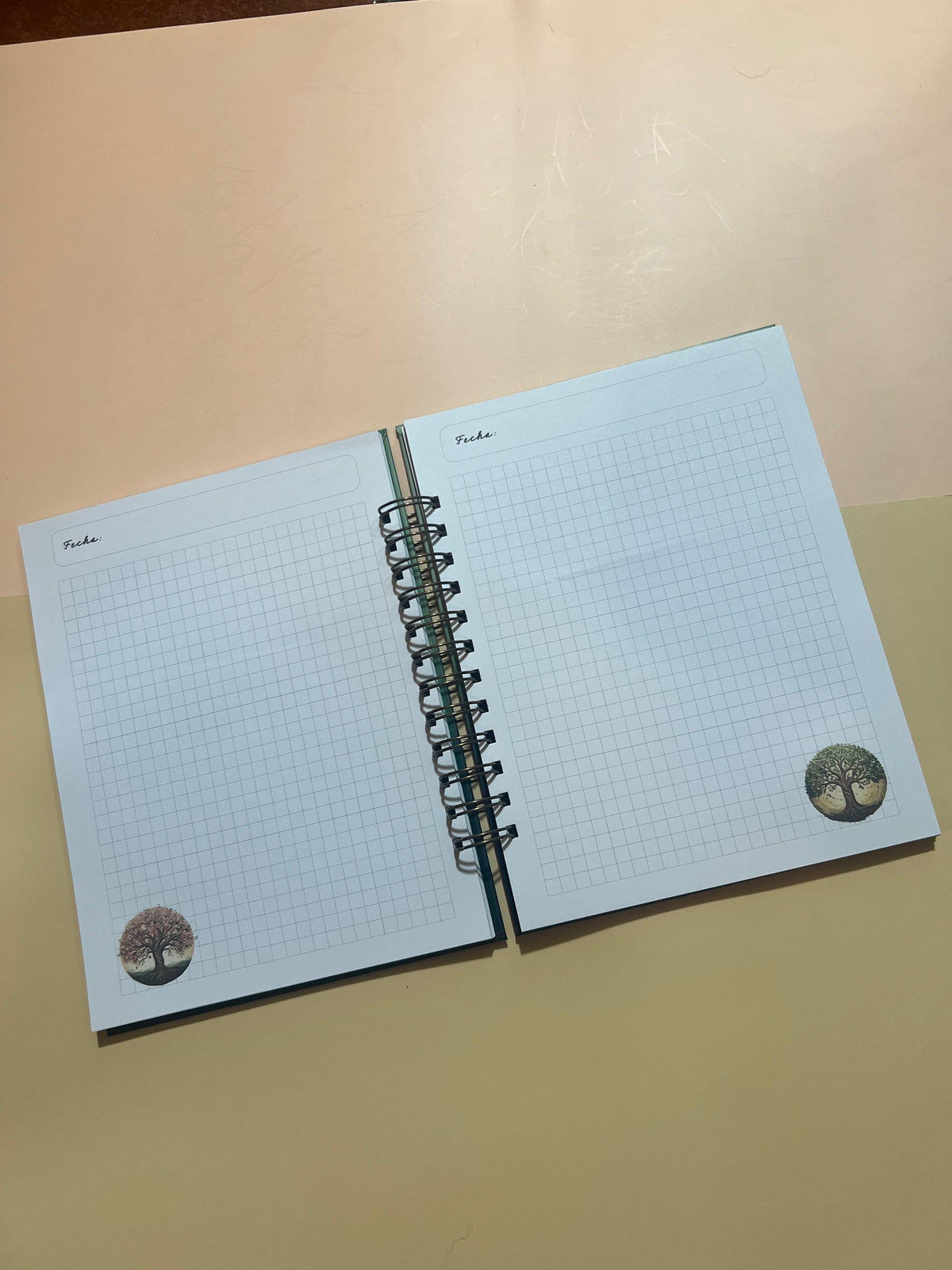 Cuaderno Terra