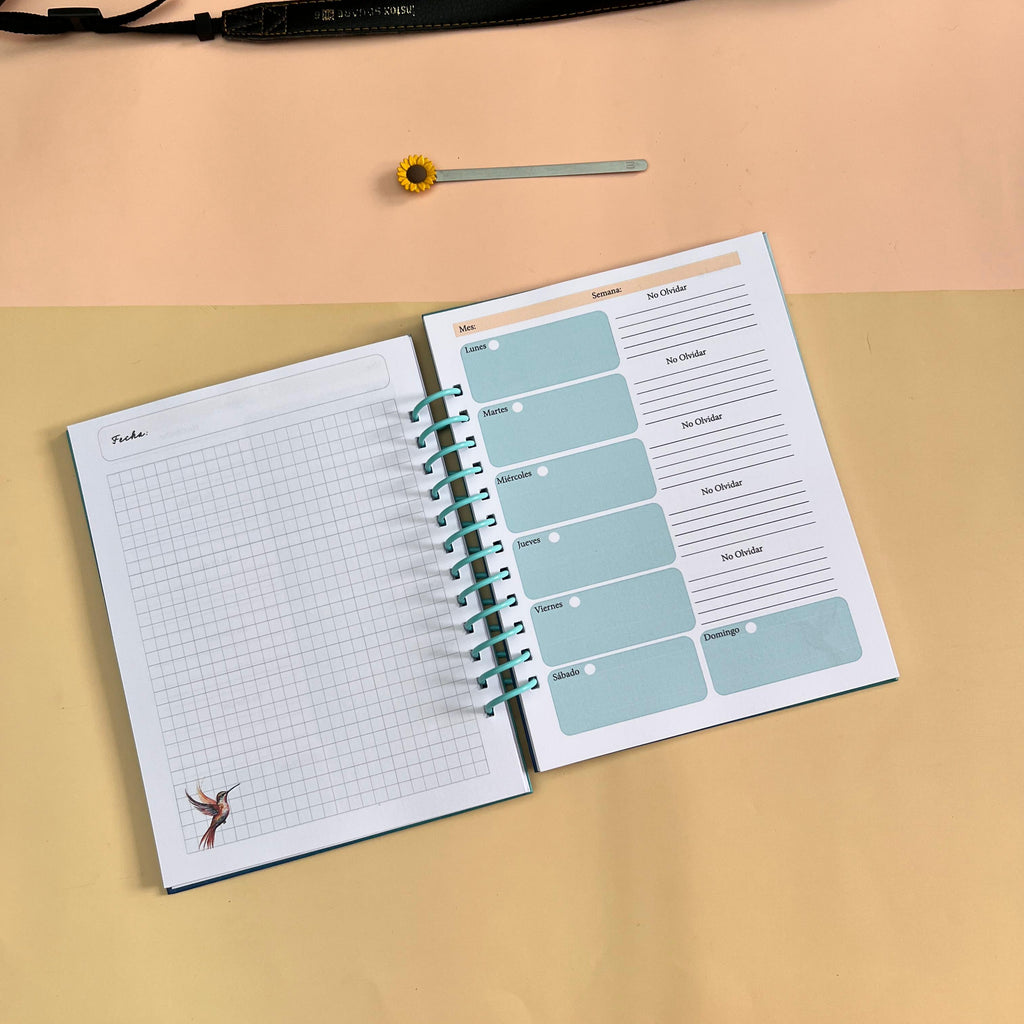 Planner Aqua