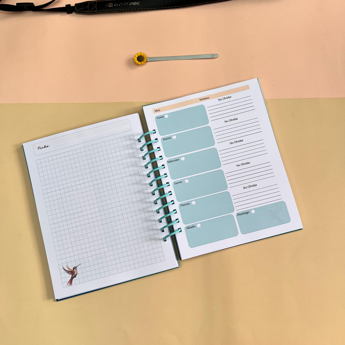 Planner Aqua